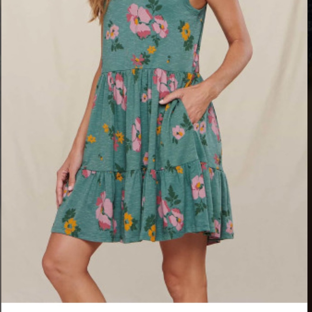 Toad&Co Pink and Green Midi Sundress